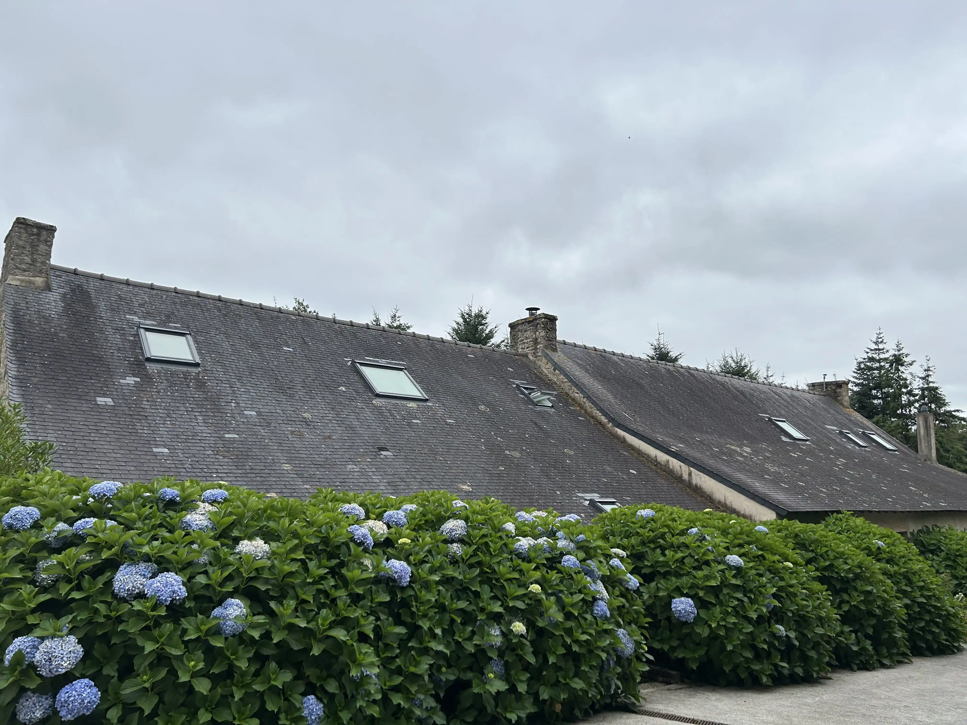 velux
